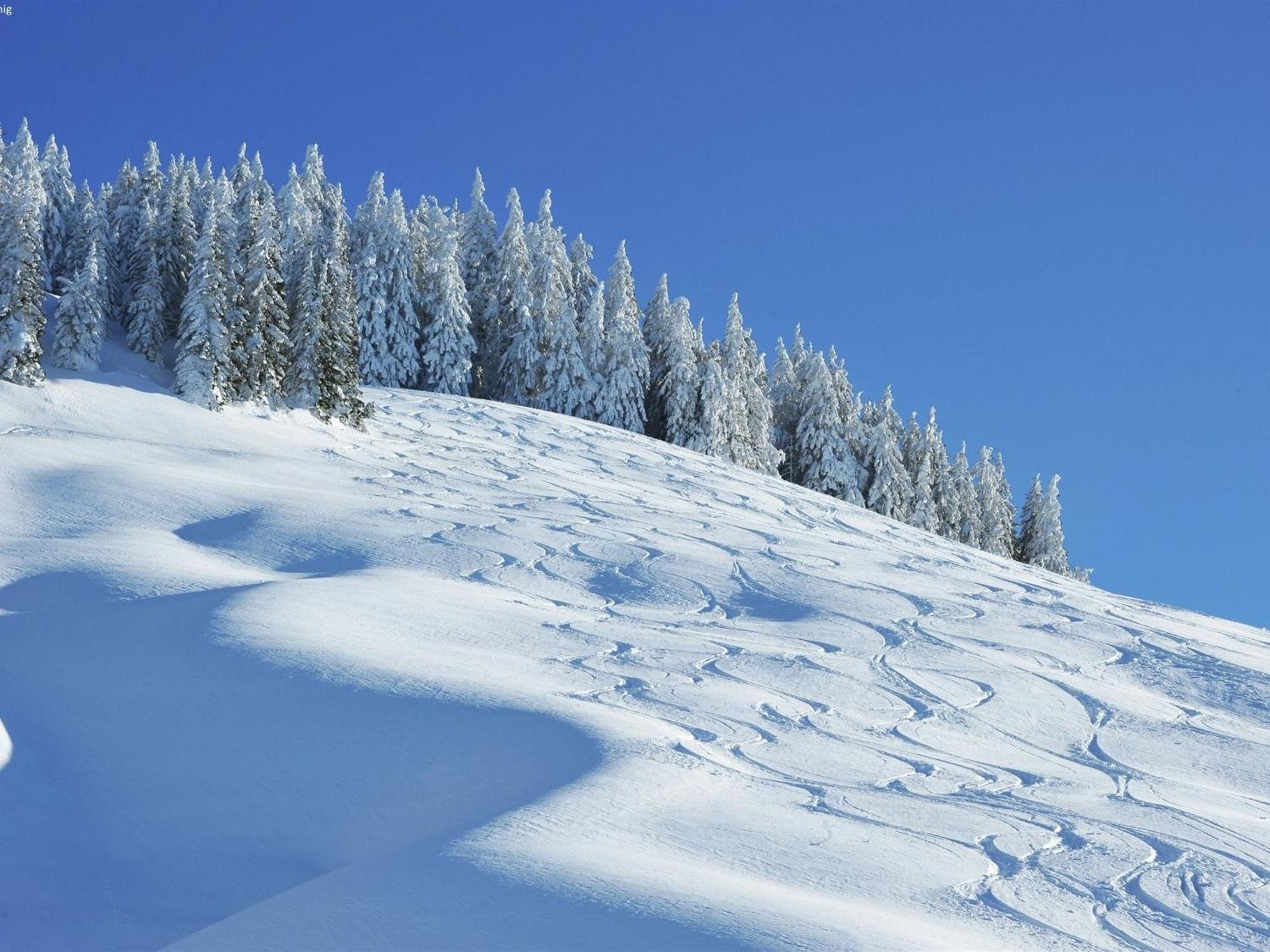 Large Chalet Apartment In Saalbach Hinterglemm Ngoại thất bức ảnh